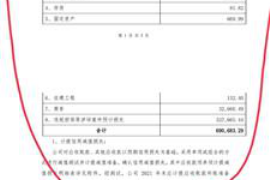 西沙如何避免债务纠纷？专业追讨公司教您应对之策