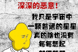 西沙为什么选择专业追讨公司来处理您的债务纠纷？